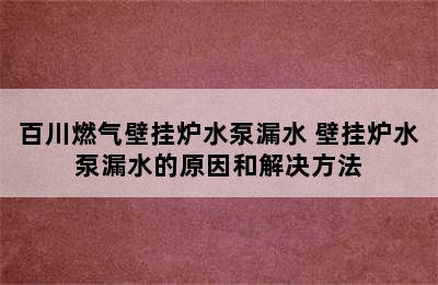 百川燃气壁挂炉水泵漏水 壁挂炉水泵漏水的原因和解决方法